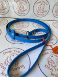 Biothane Slip Lead