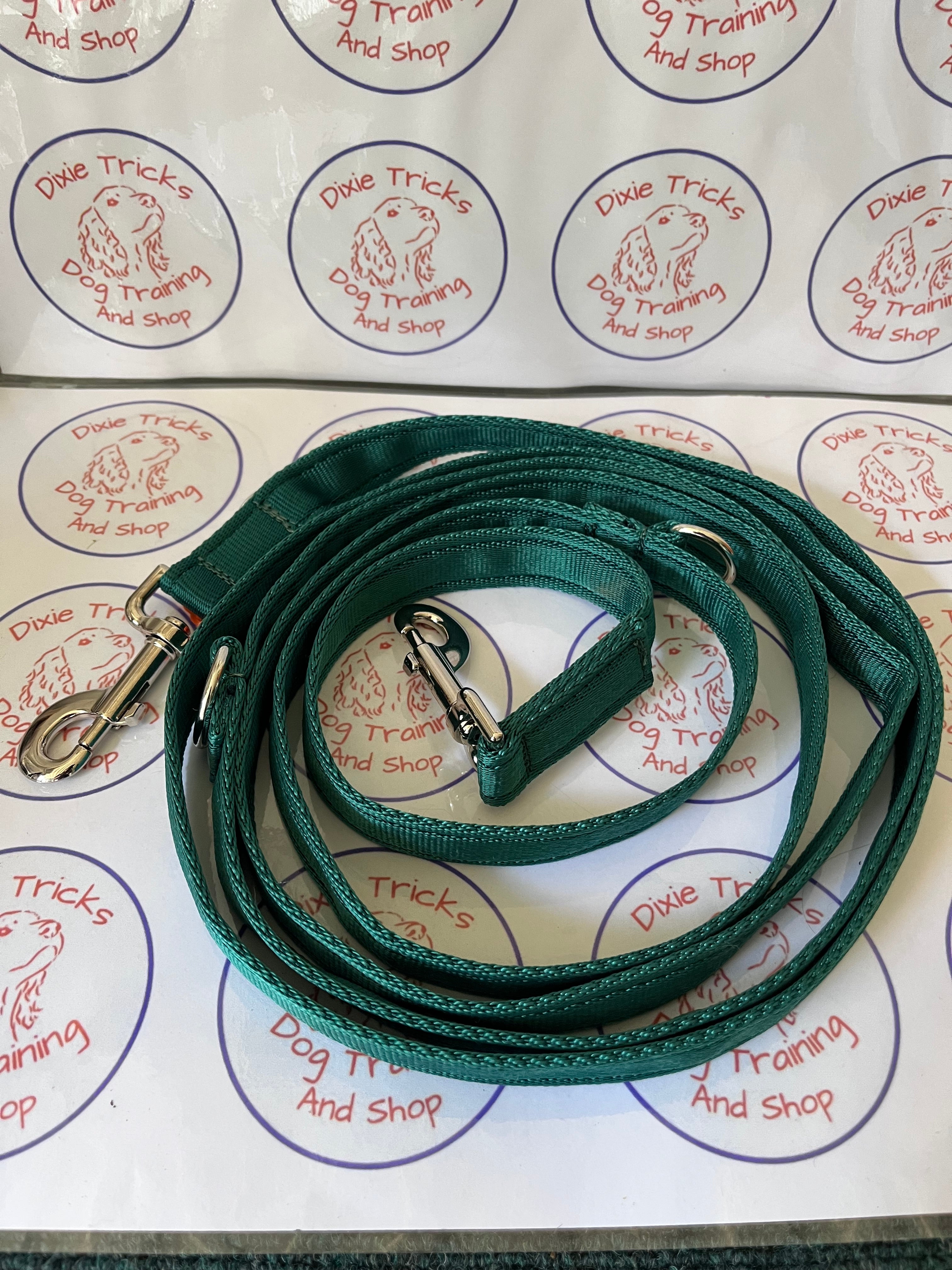 Double Clip Training Lead 11ft Cushion Webbing