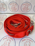 Double Clip Training Lead 11ft Cushion Webbing