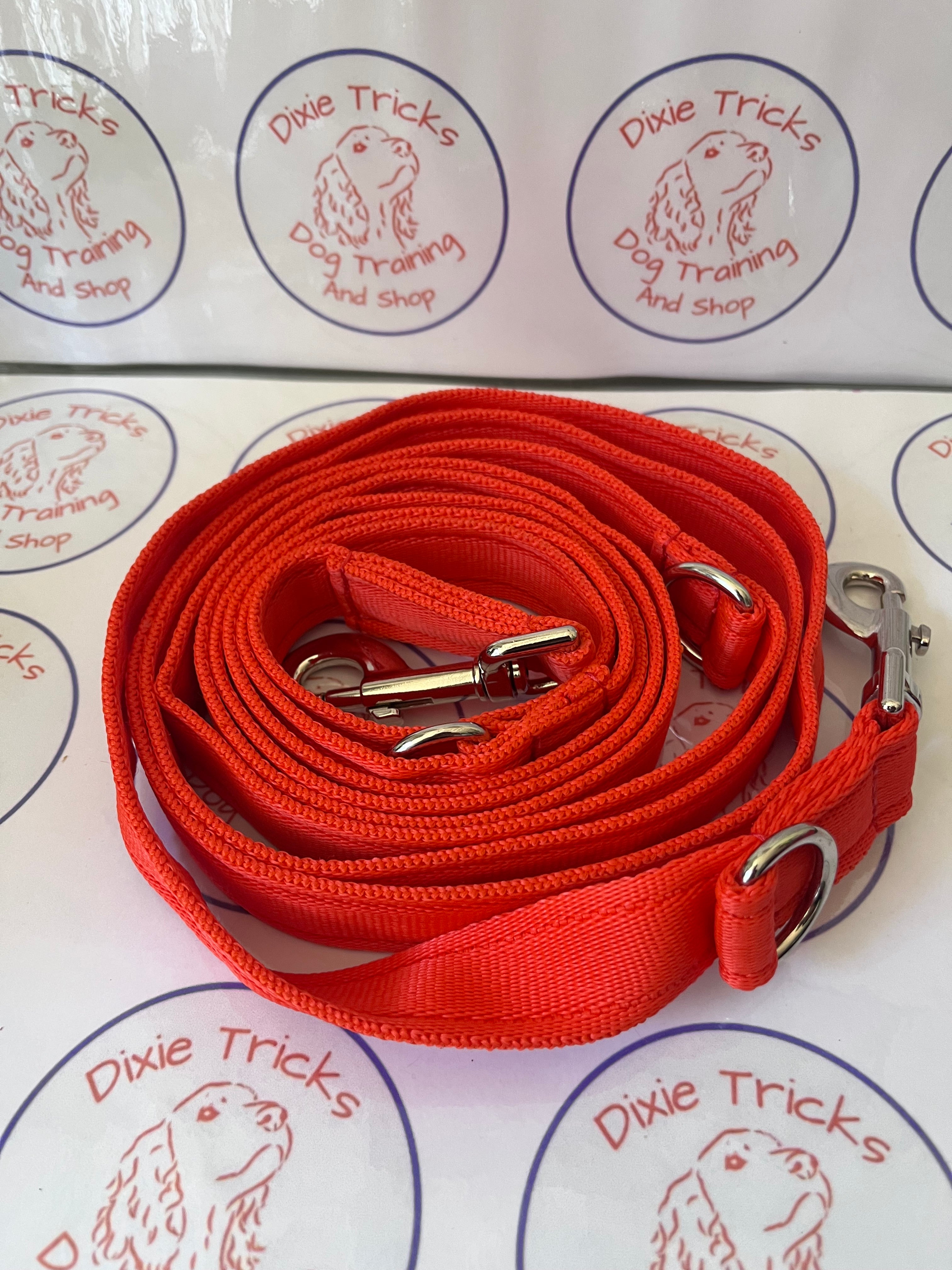 Double Clip Training Lead 11ft Cushion Webbing