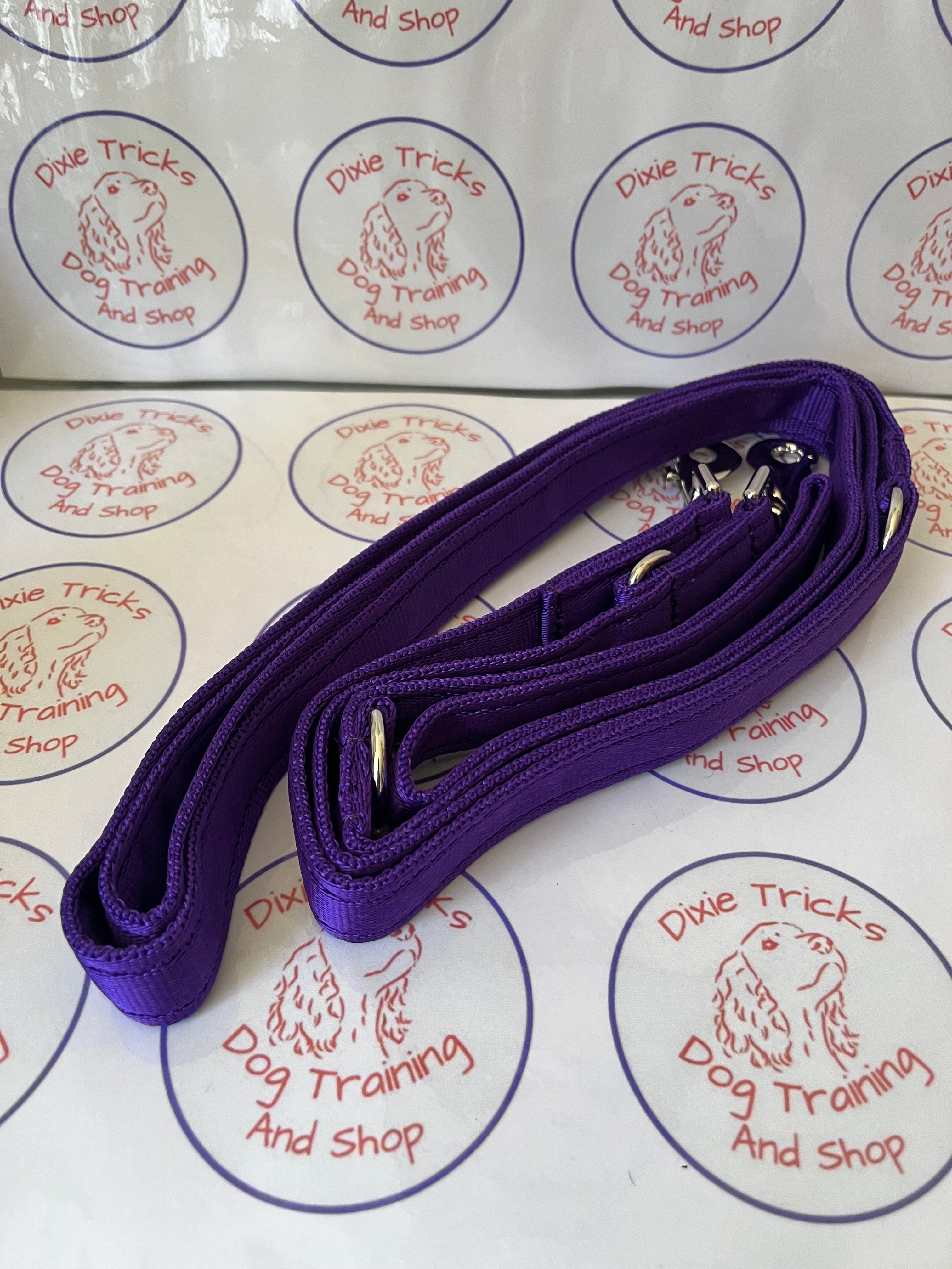 Double Clip Training Lead 11ft Cushion Webbing