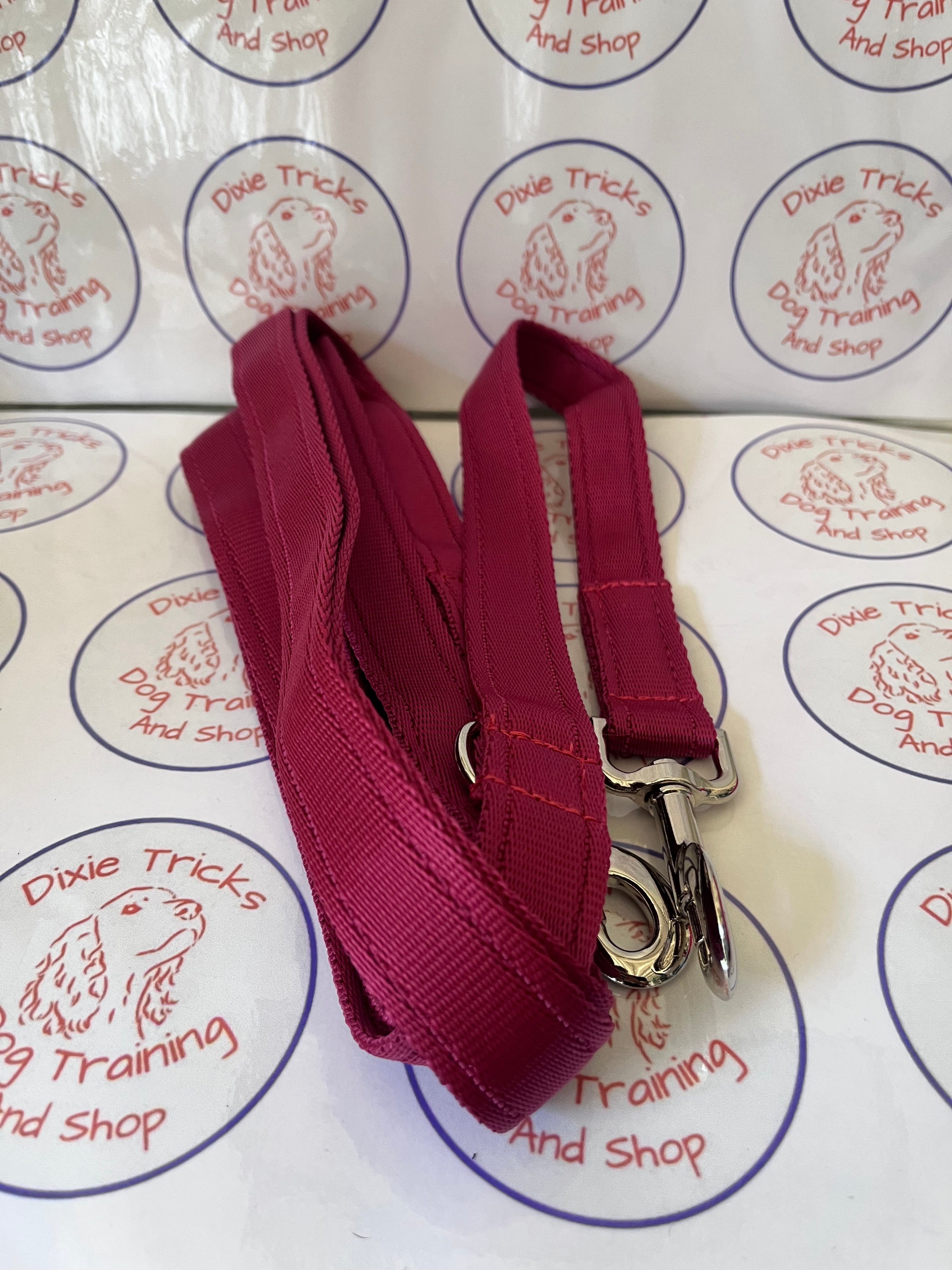 Double Clip Training Lead 11ft Cushion Webbing