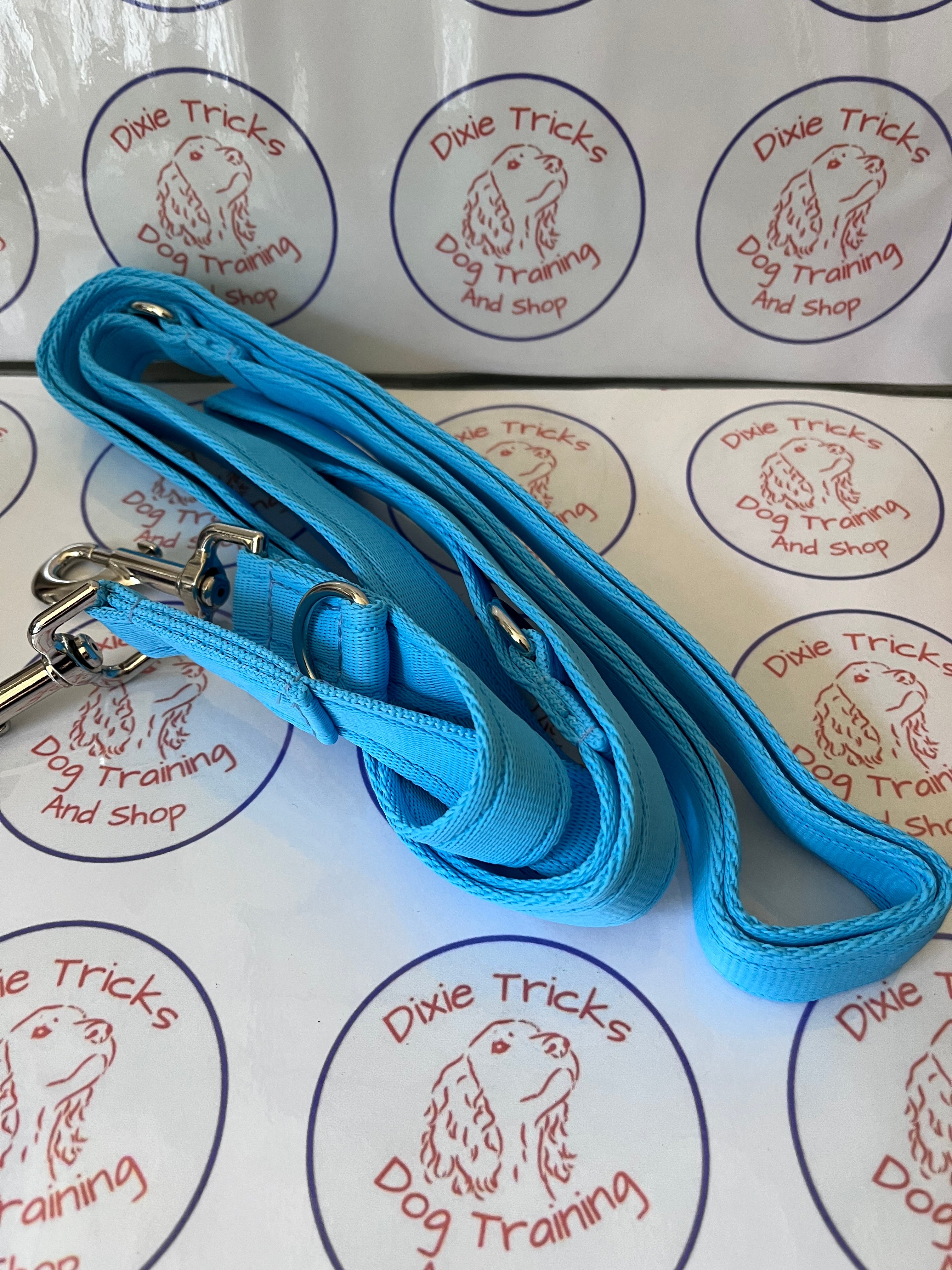 Double Clip Training Lead 11ft Cushion Webbing