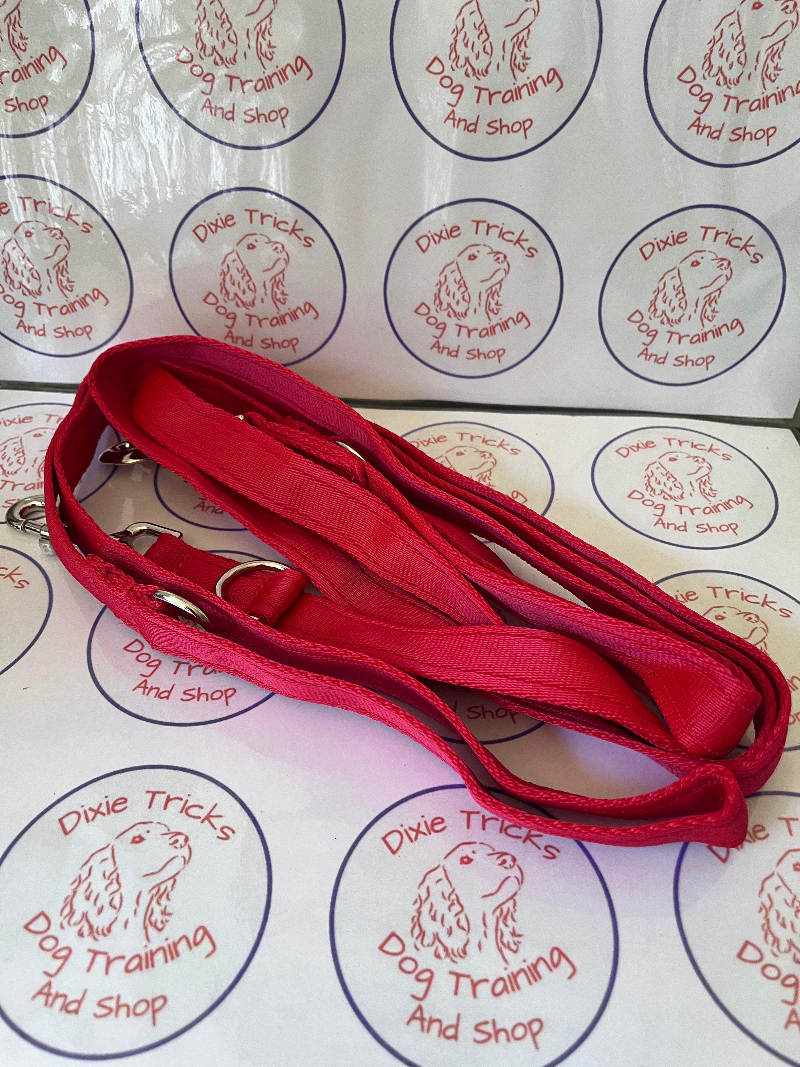 Double Clip Training Lead 11ft Cushion Webbing