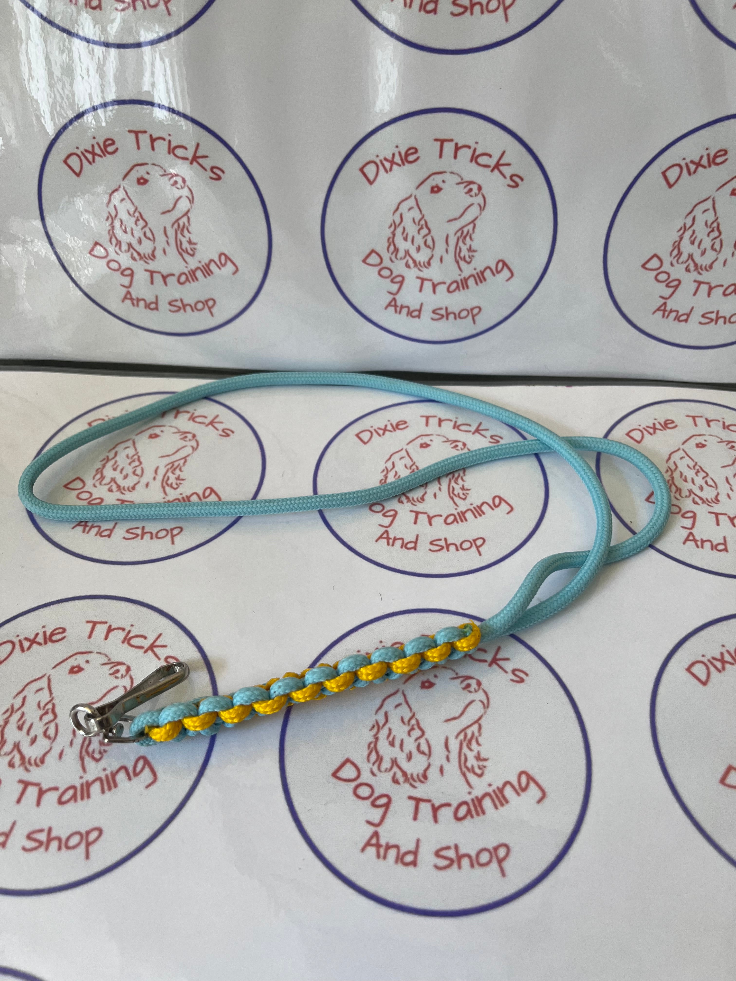 Lanyard - Fixed