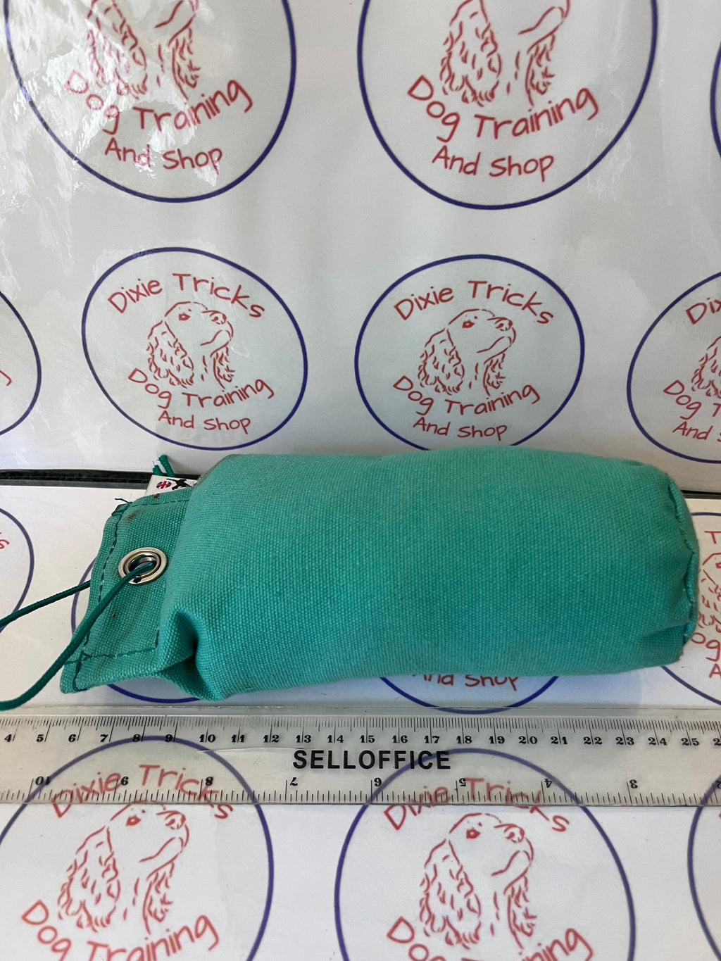 1/2lb dummy