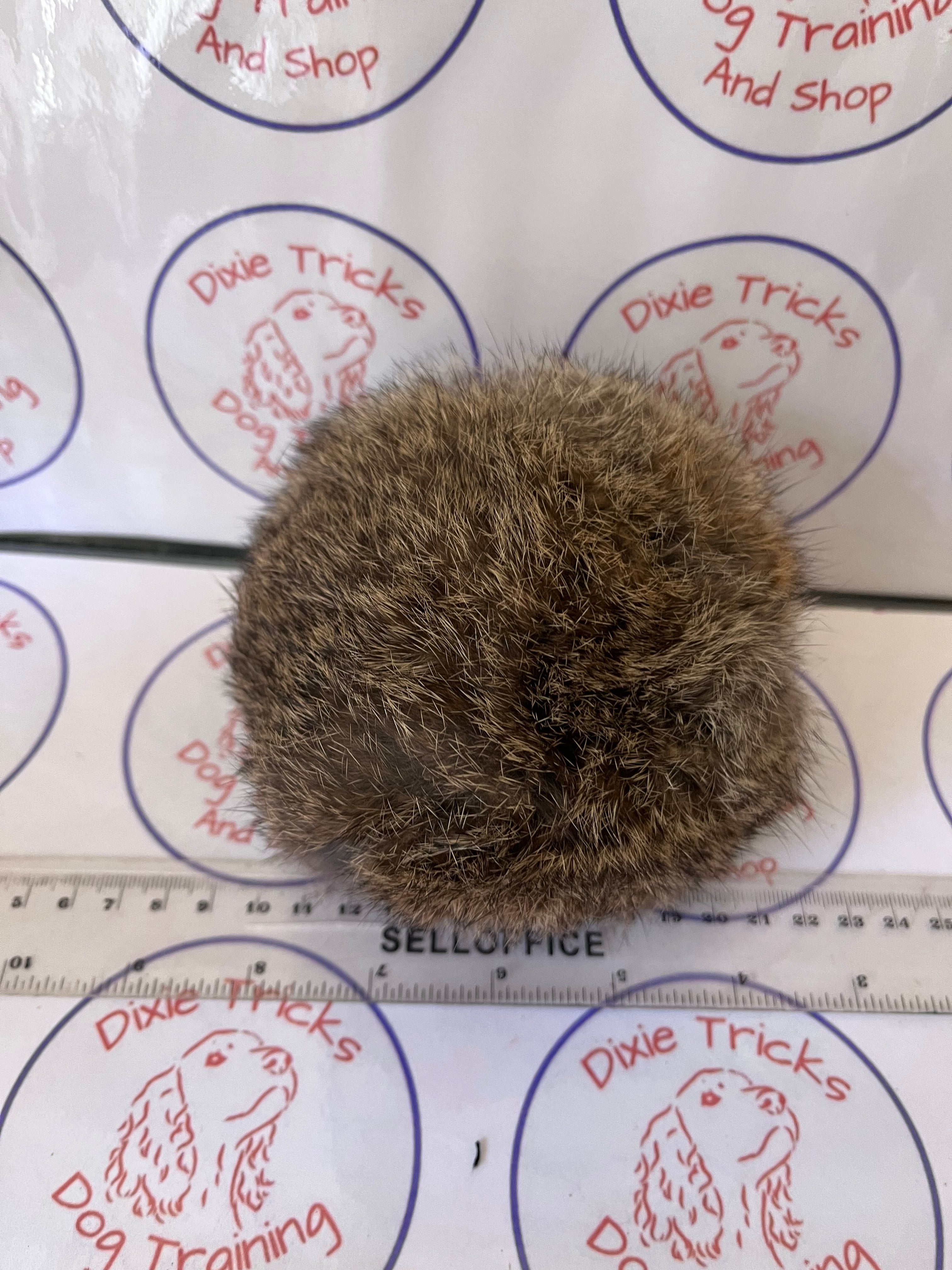 Rabbit Ball