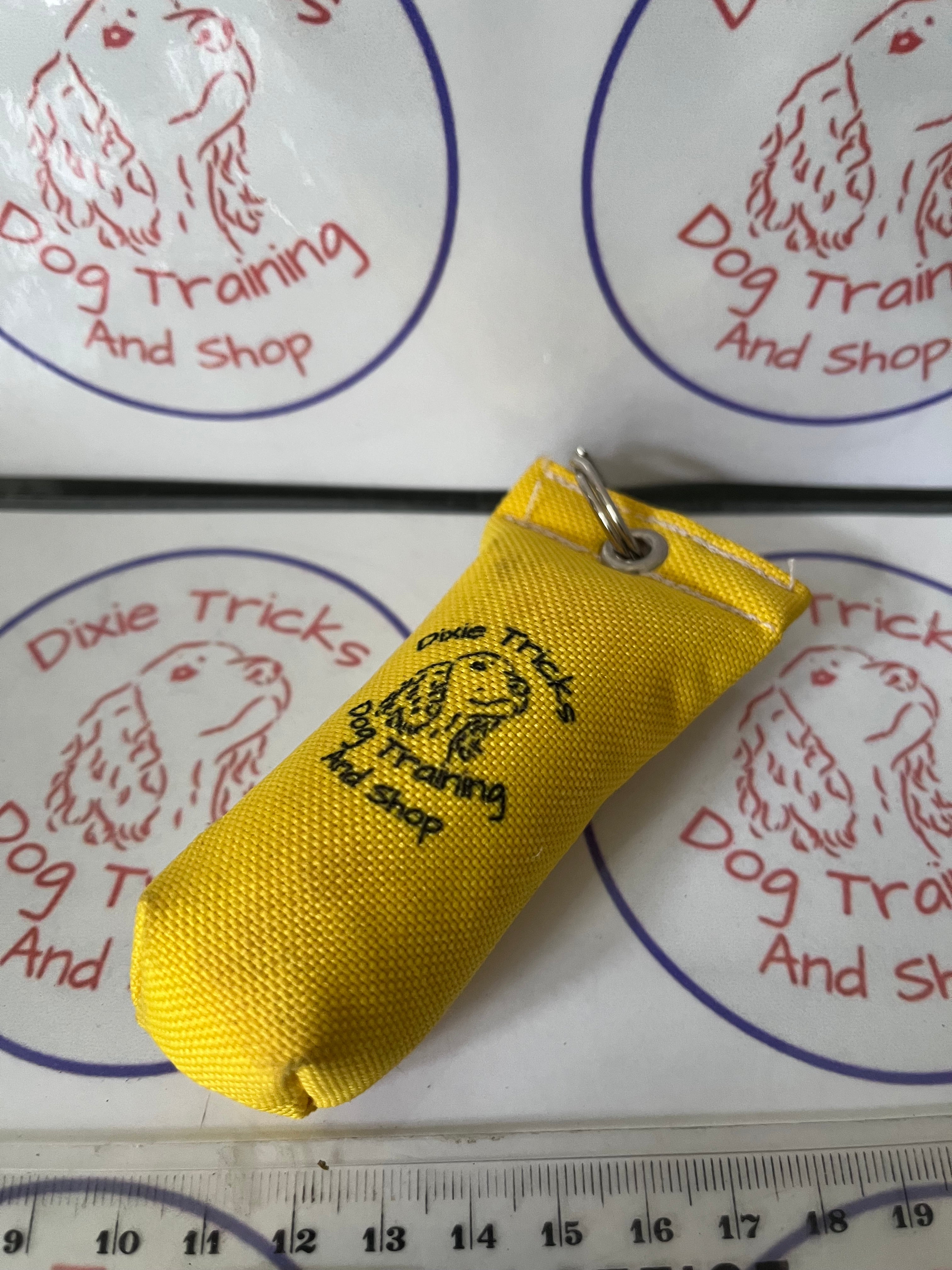 Key Ring Dummy