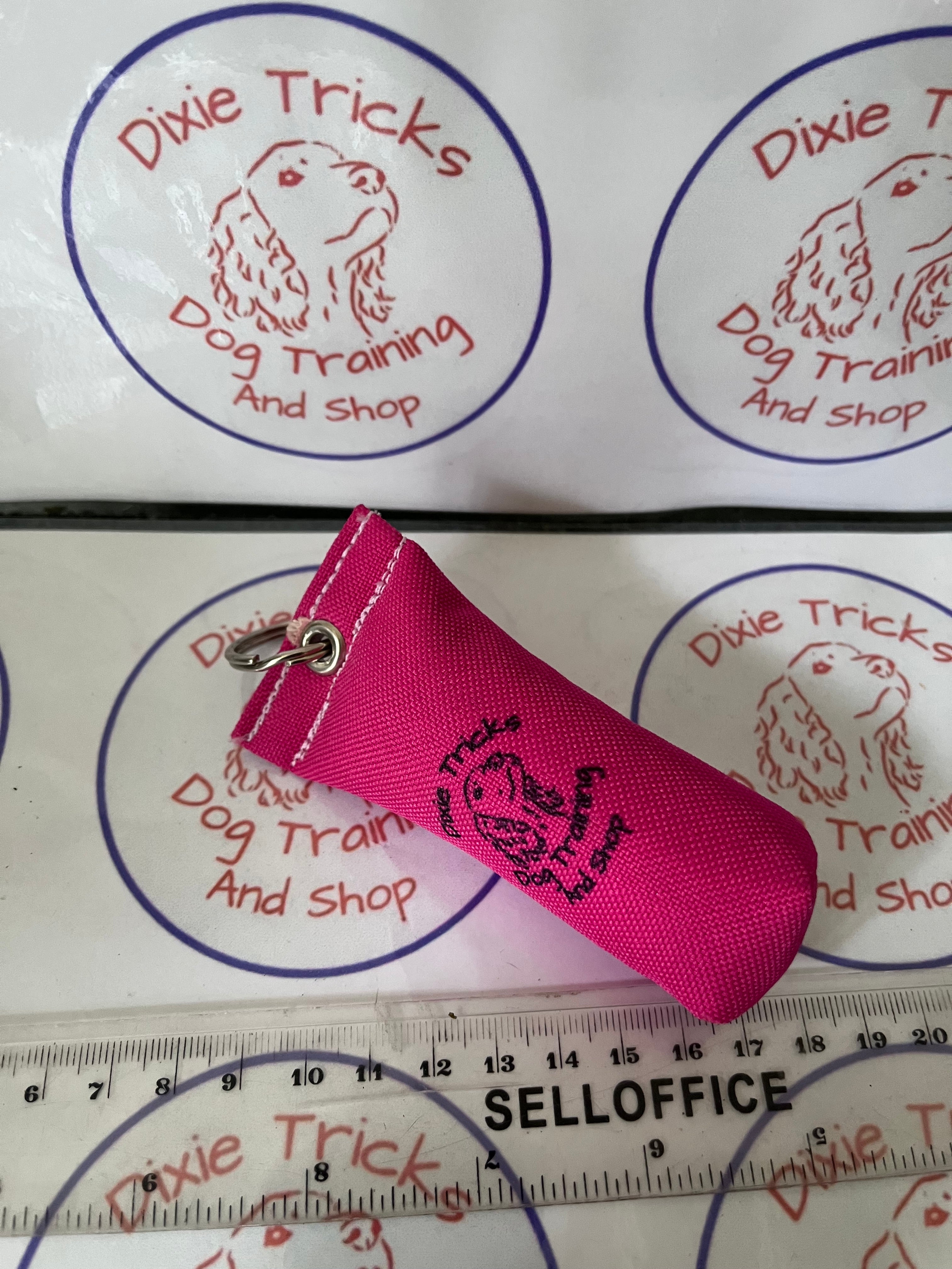 Key Ring Dummy
