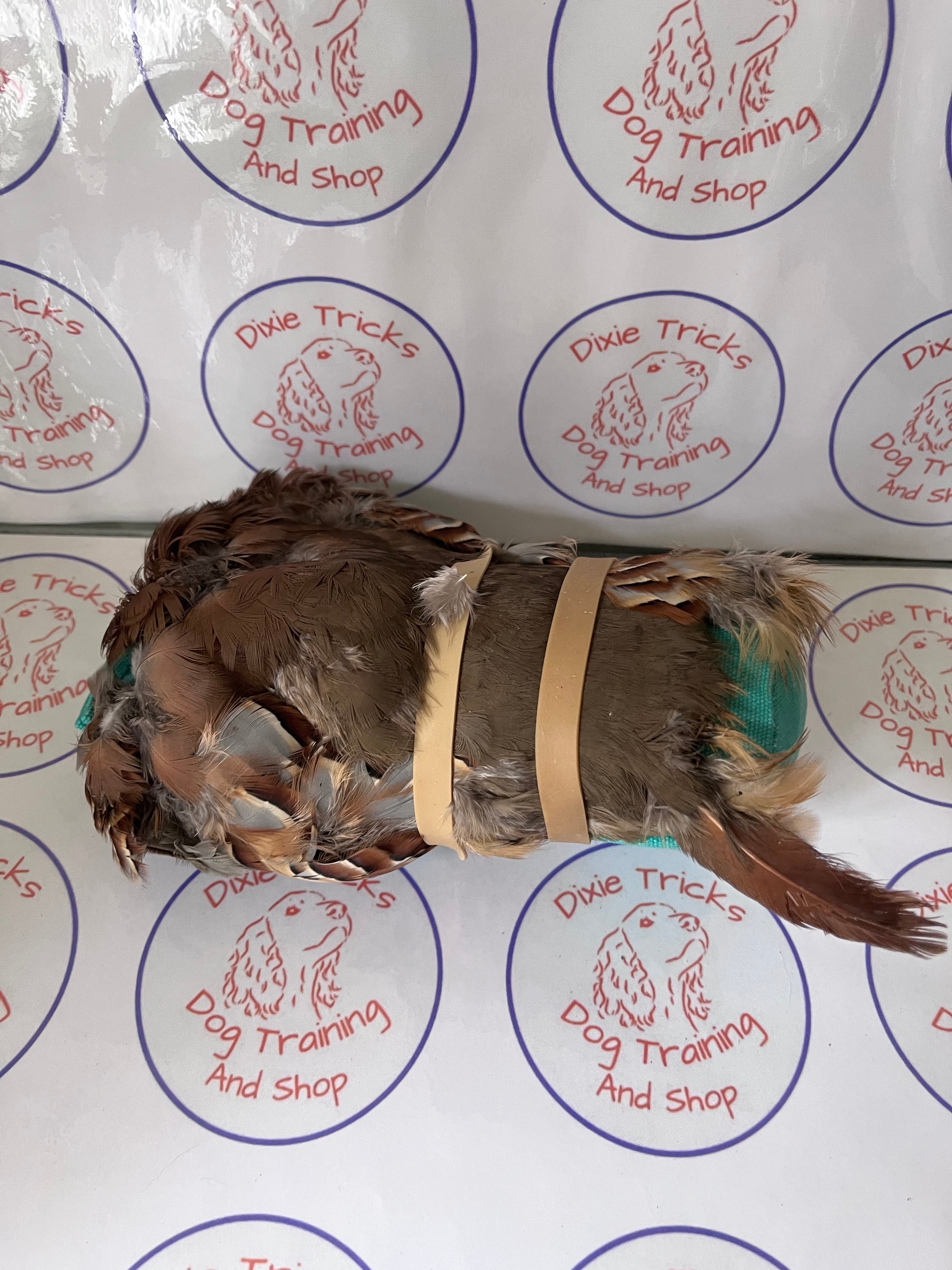 Partridge Pelt Dummy