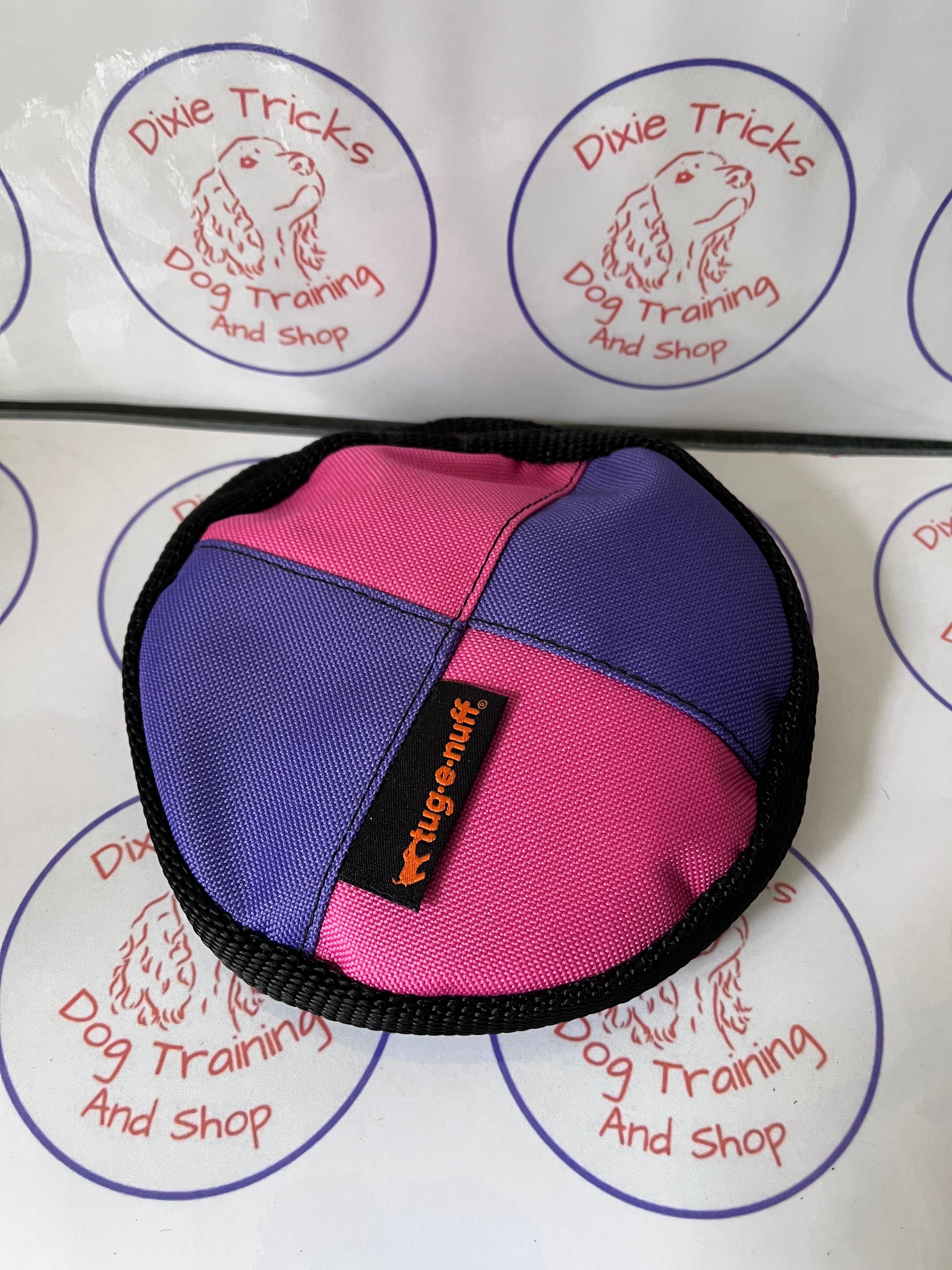 Mini Frisbee
