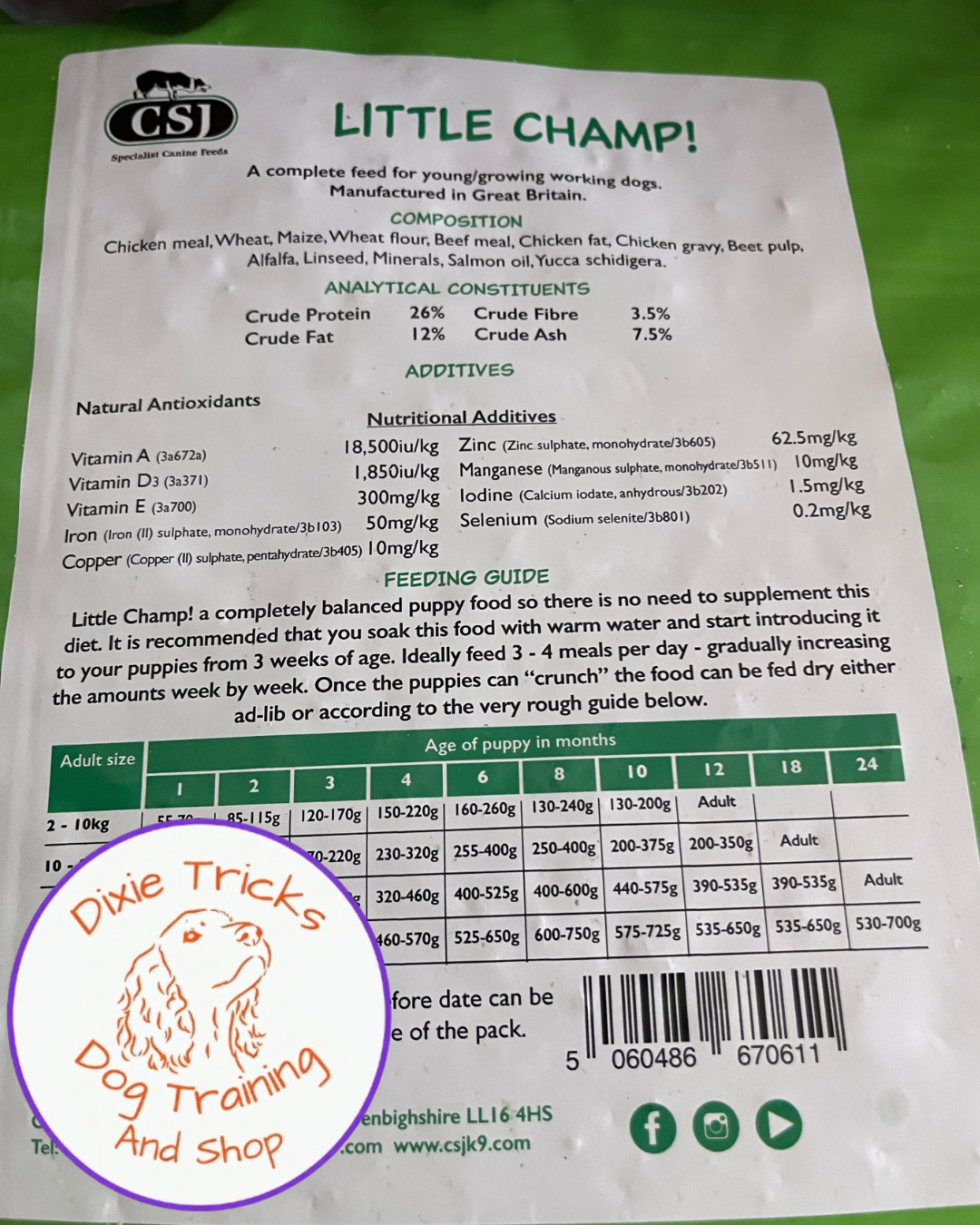 CSJ Little Champ!